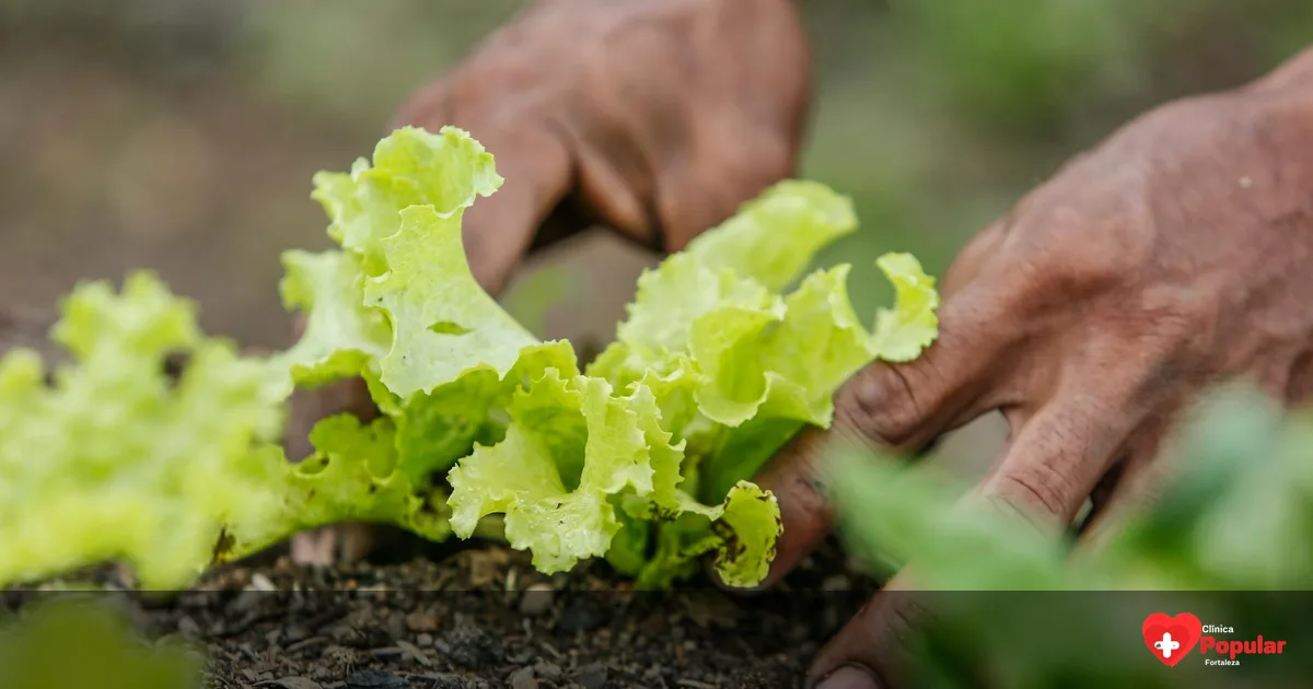 3 alimentos que ajudam a prevenir o aumento da próstata